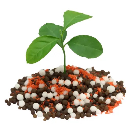 Urea in plant growth